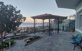 Depys' View
